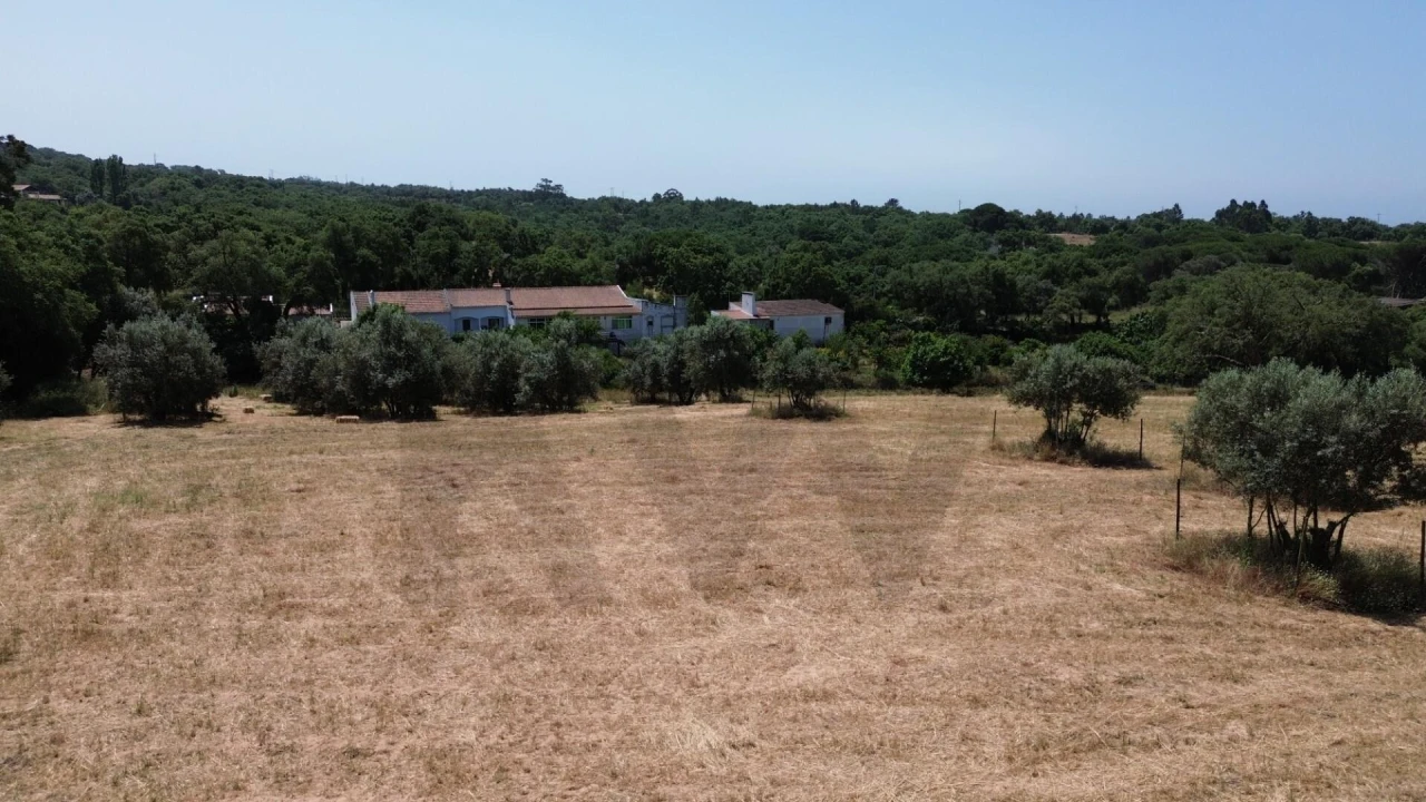 Quinta T9 para Venda em Santiago do Cacém, Santa Cruz e São Bartolomeu da Serra Foto 17
