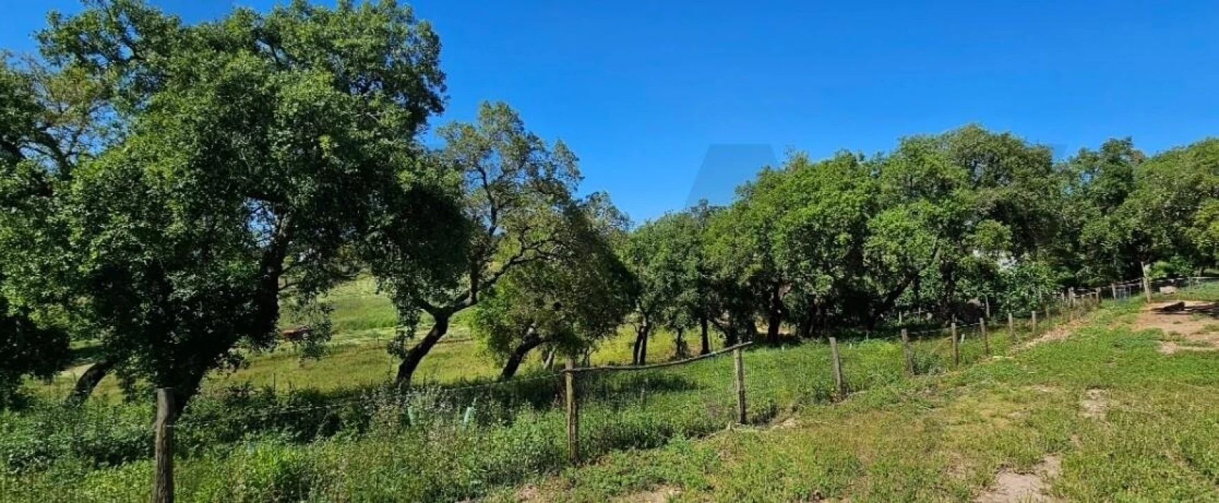 Quinta T9 para Venda em Santiago do Cacém, Santa Cruz e São Bartolomeu da Serra Foto 15