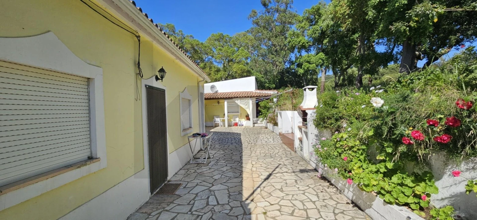 Quinta T9 para Venda em Santiago do Cacém, Santa Cruz e São Bartolomeu da Serra Foto 4