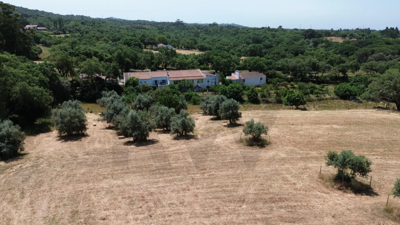 Quinta T9 para Venda em Santiago do Cacém, Santa Cruz e São Bartolomeu da Serra Foto 18
