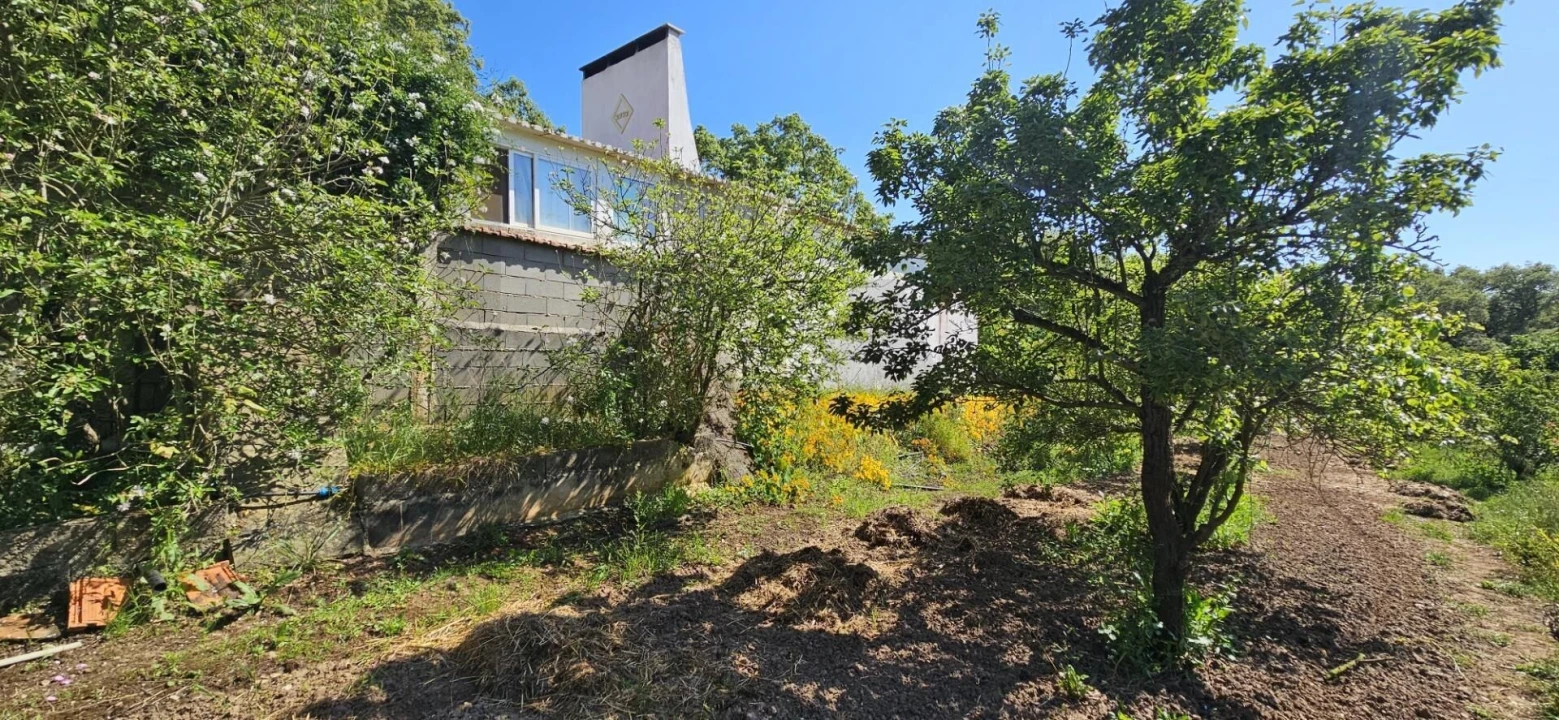 Quinta T9 para Venda em Santiago do Cacém, Santa Cruz e São Bartolomeu da Serra Foto 24