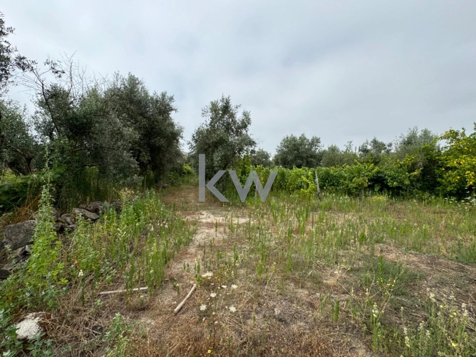 Terreno para Venda em Silgueiros Foto 4
