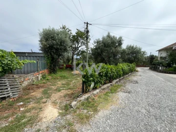 Terreno para Venda em Silgueiros