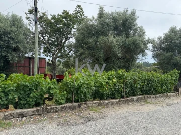 Terreno para Venda em Silgueiros