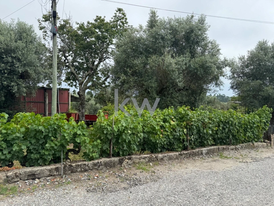 Terreno para Venda em Silgueiros Foto 7