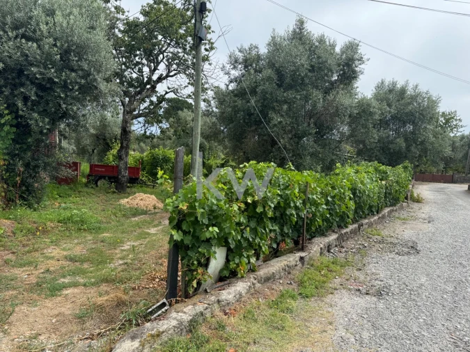 Terreno para Venda em Silgueiros Foto 8