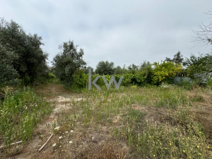 Terreno para Venda em Silgueiros Foto 5