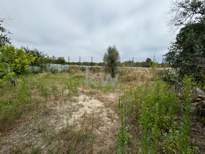 Terreno para Venda em Silgueiros Foto 3