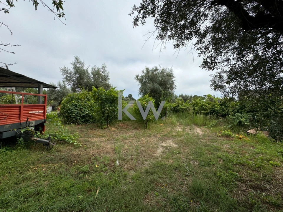 Terreno para Venda em Silgueiros Foto 2