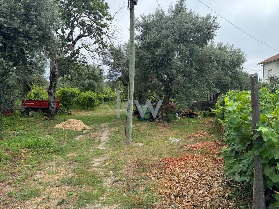 Terreno para Venda em Silgueiros Foto 1