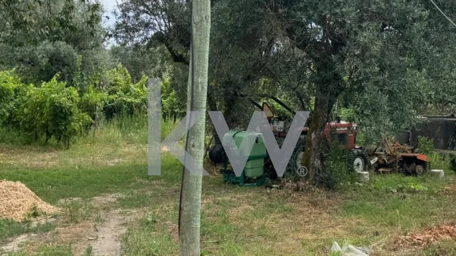 Terreno para Venda em Silgueiros