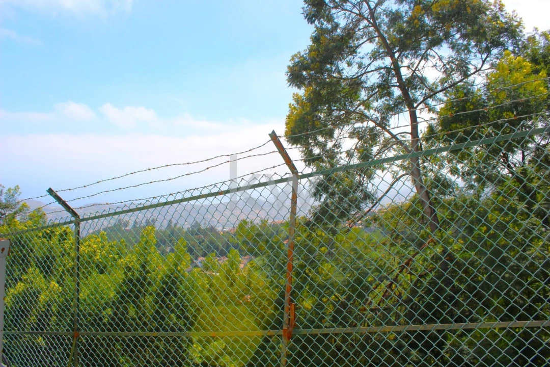 Moradia T3 para Venda em Monte Foto 16