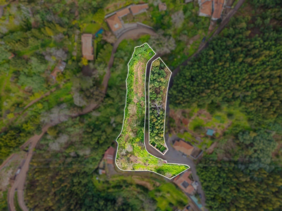 Terreno para Venda em Funchal (Santa Maria Maior) Foto 10