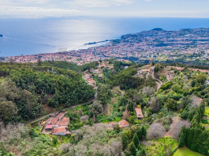 Terreno para Venda em Funchal (Santa Maria Maior) Foto 18