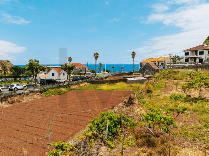 Terreno para Venda em Porto Moniz Foto 16