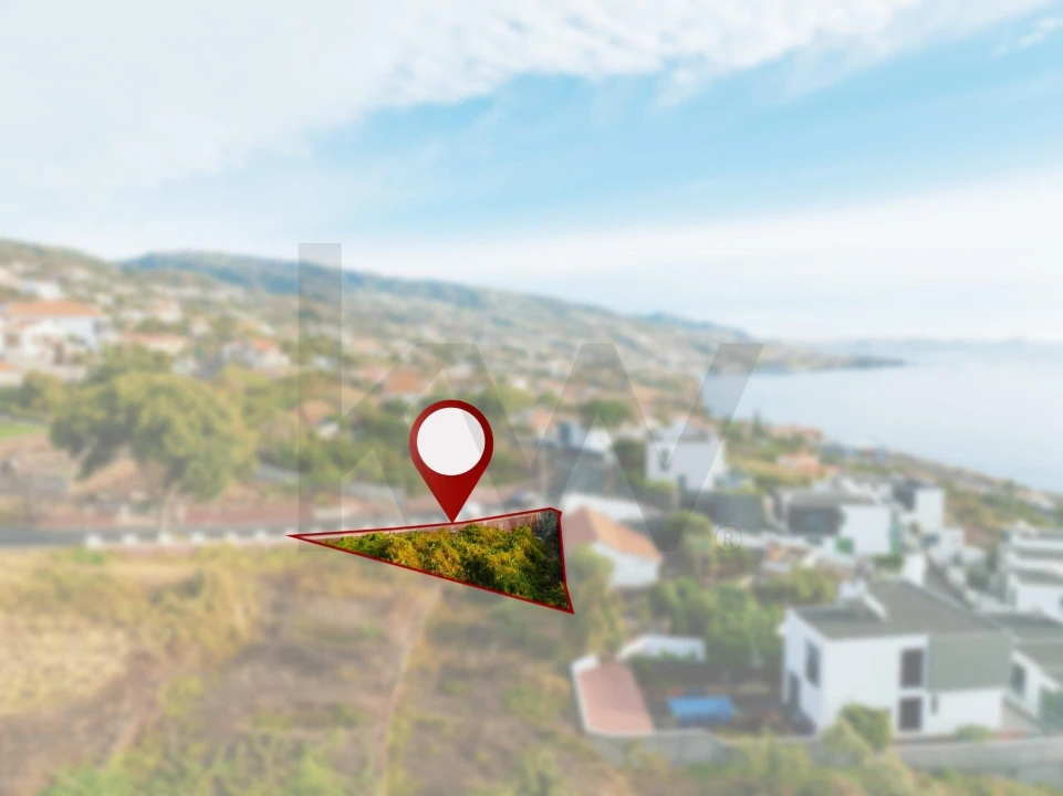 Terreno para Venda em Gaula Foto 6