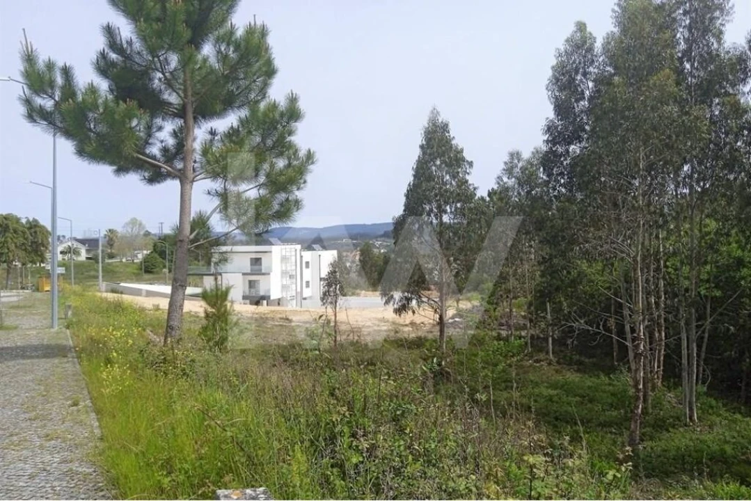 Terreno para Venda em Pombal Foto 2