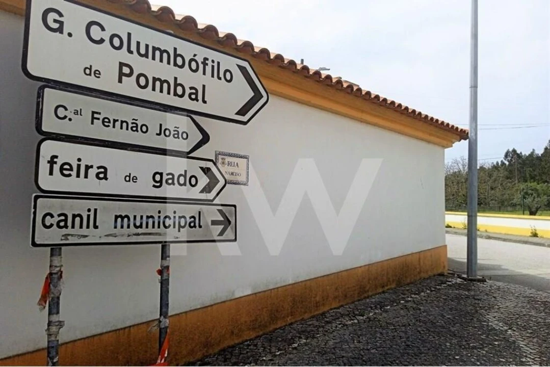 Terreno para Venda em Pombal Foto 10