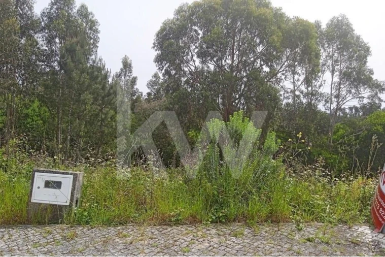 Terreno para Venda em Pombal Foto 6