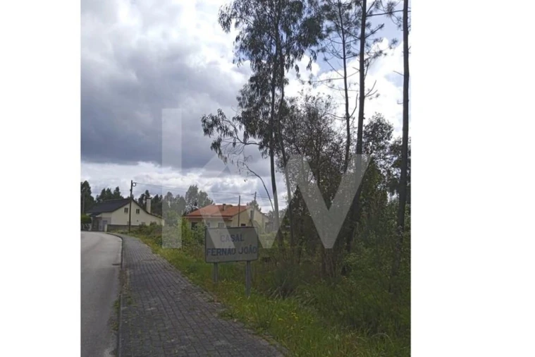 Terreno para Venda em Pombal Foto 12