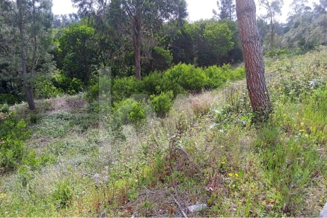 Terreno para Venda em Pombal Foto 3