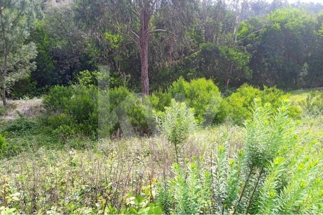 Terreno para Venda em Pombal Foto 5