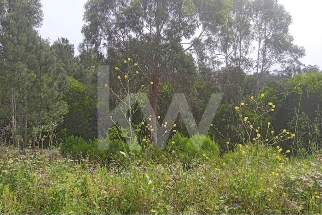 Terreno para Venda em Pombal Foto 4
