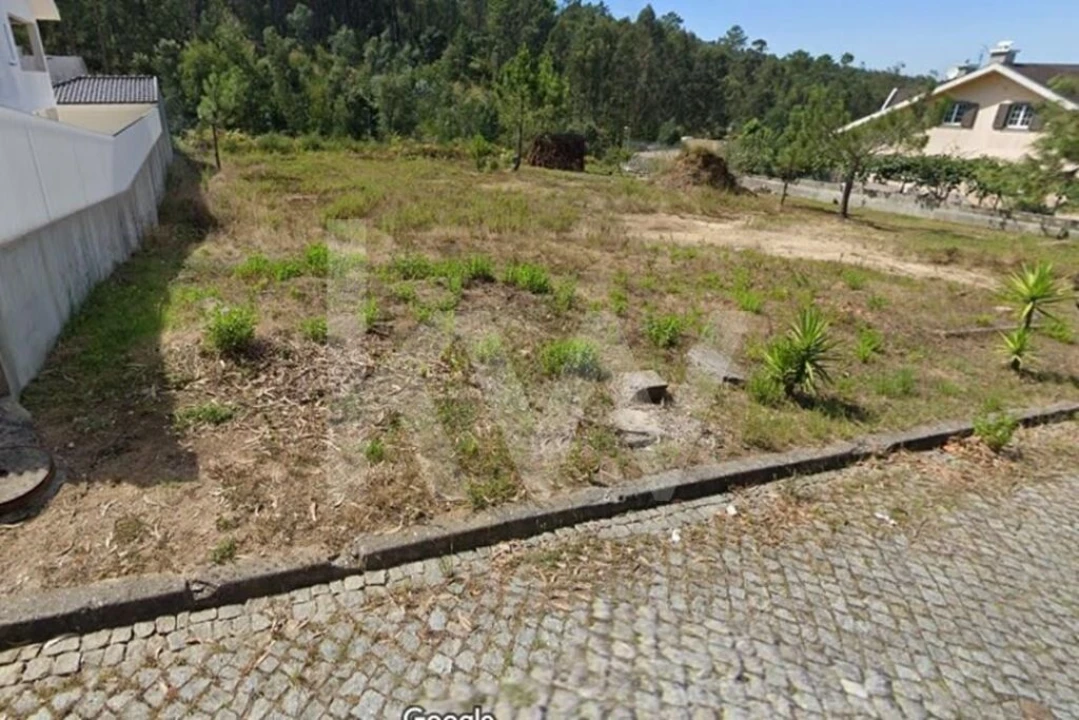 Terreno para Venda em Caldas de São Jorge e Pigeiros Foto 1