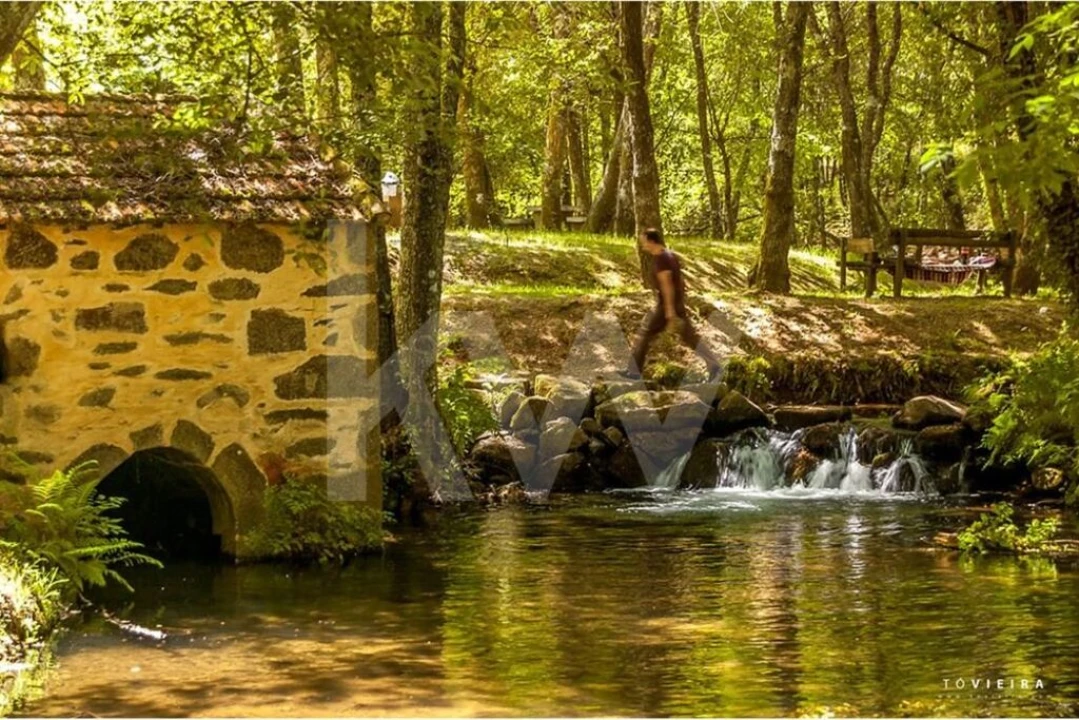 Terreno para Venda em Caldas de São Jorge e Pigeiros Foto 5