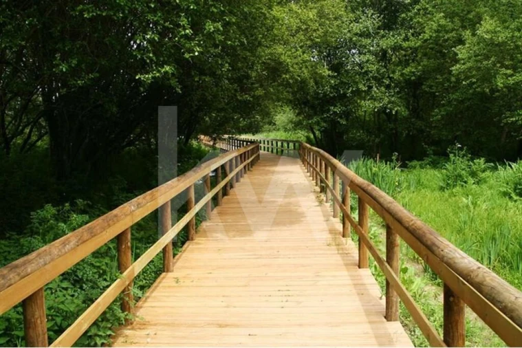 Terreno para Venda em Caldas de São Jorge e Pigeiros Foto 6