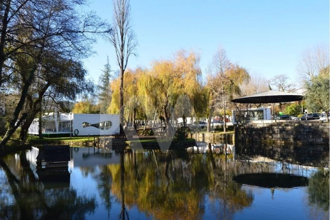 Terreno para Venda em Caldas de São Jorge e Pigeiros Foto 4