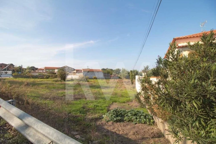 Terreno para Venda em Pampilhosa Foto 7