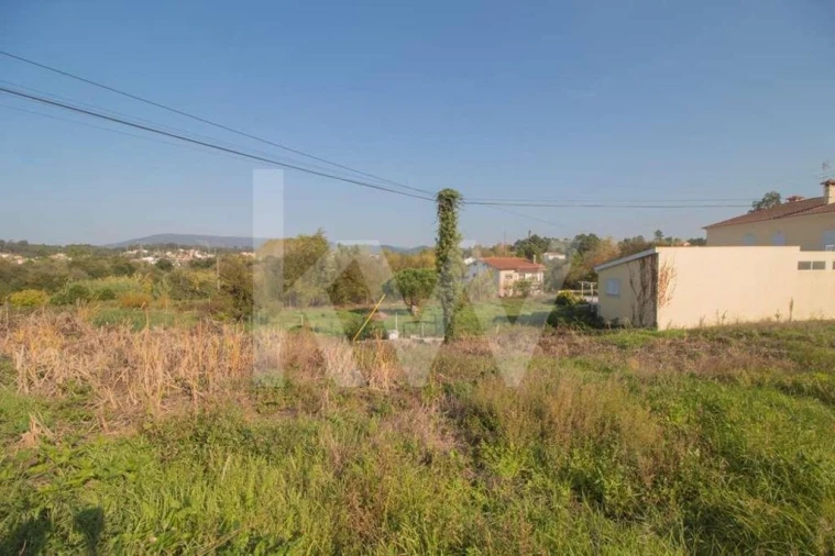 Terreno para Venda em Pampilhosa Foto 11