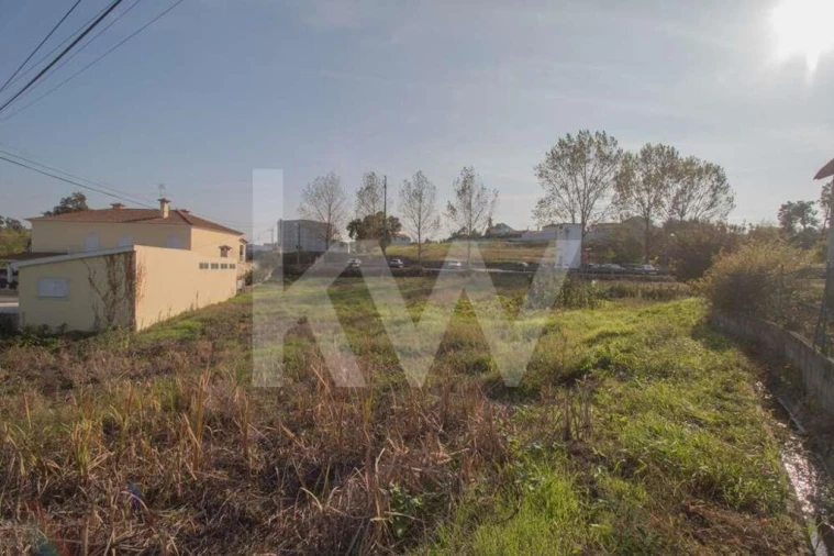 Terreno para Venda em Pampilhosa Foto 12