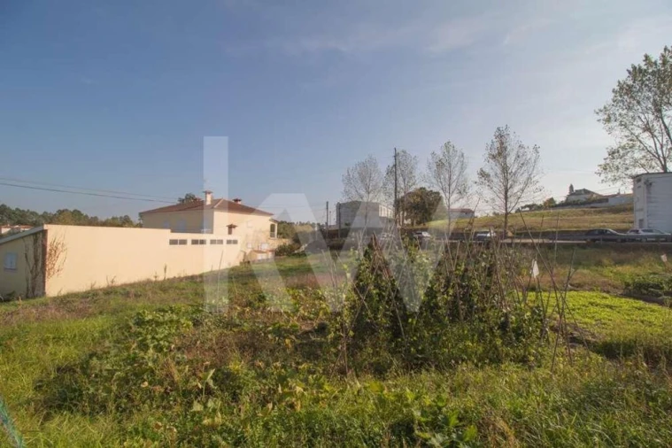 Terreno para Venda em Pampilhosa Foto 9