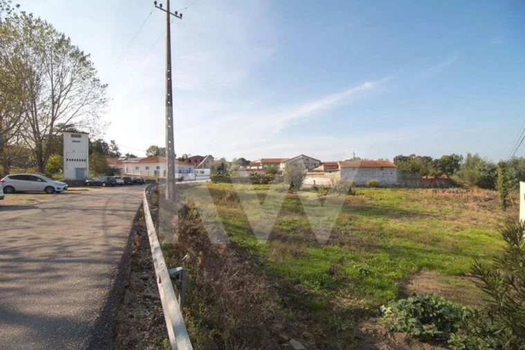 Terreno para Venda em Pampilhosa Foto 2