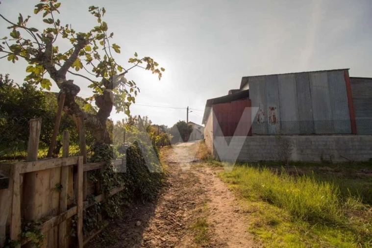 Terreno para Venda em Pampilhosa Foto 18
