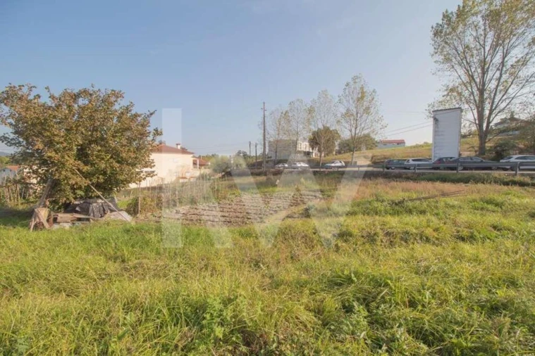 Terreno para Venda em Pampilhosa Foto 8