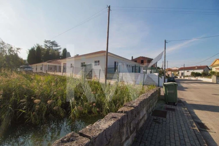 Terreno para Venda em Pampilhosa Foto 23