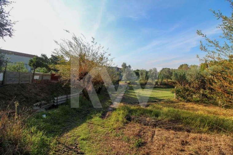 Terreno para Venda em Pampilhosa Foto 17