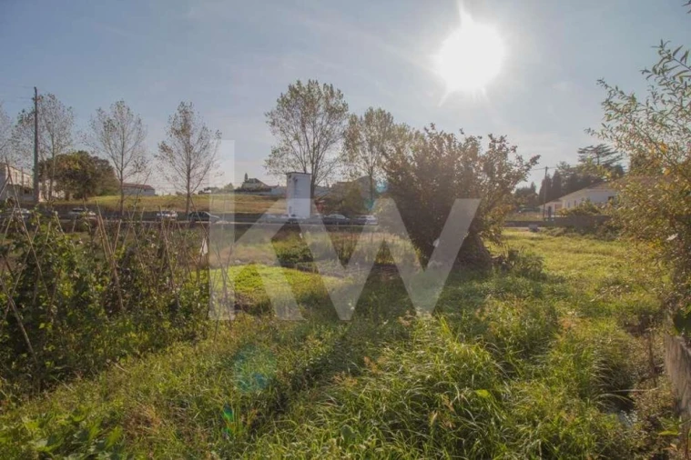 Terreno para Venda em Pampilhosa Foto 10