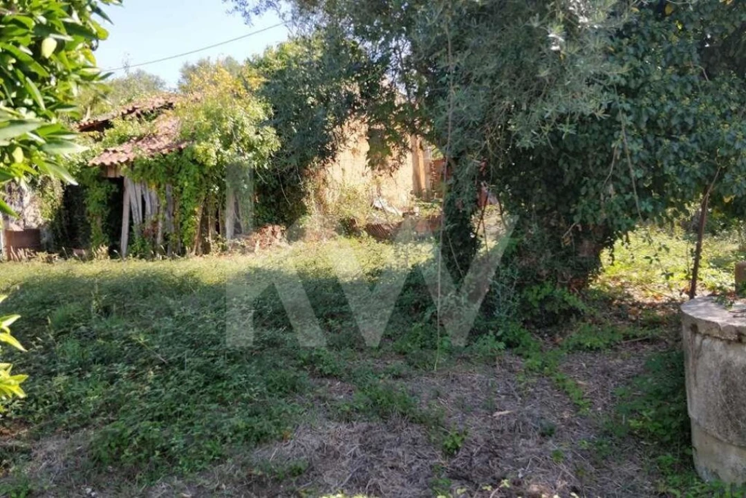 Terreno para Venda em Soure Foto 17