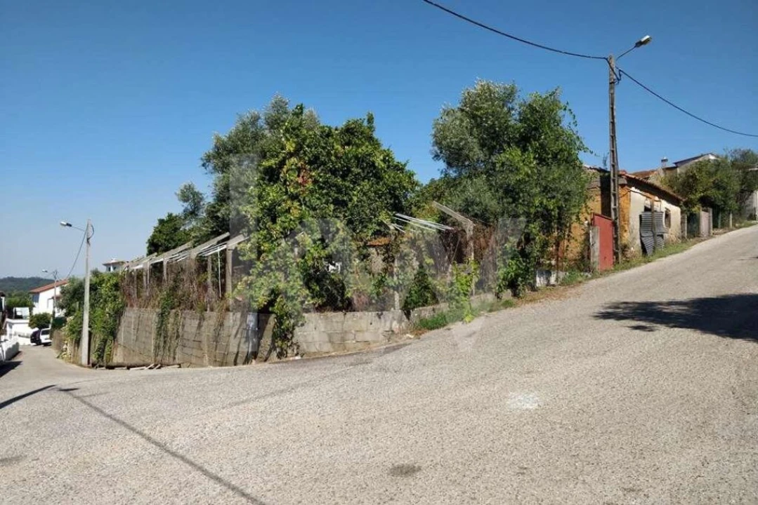 Terreno para Venda em Soure Foto 5