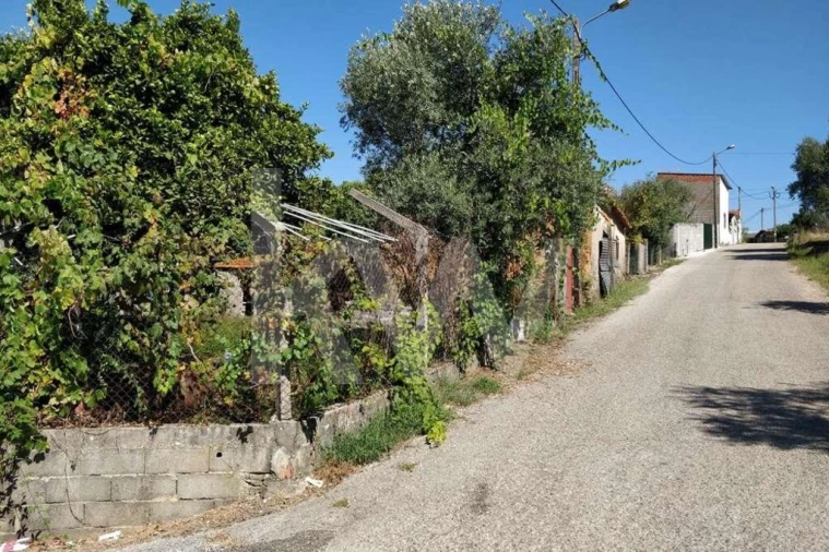 Terreno para Venda em Soure Foto 9