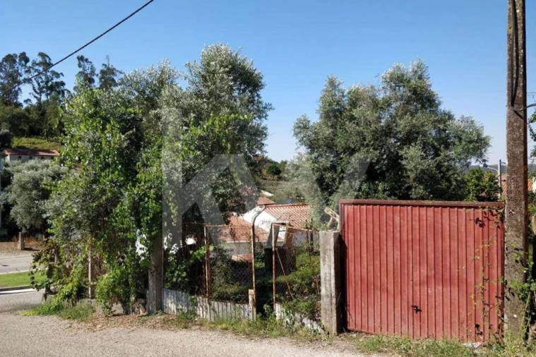 Terreno para Venda em Soure Foto 1