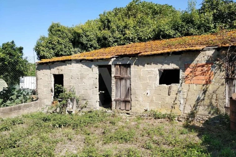 Terreno para Venda em Soure Foto 14