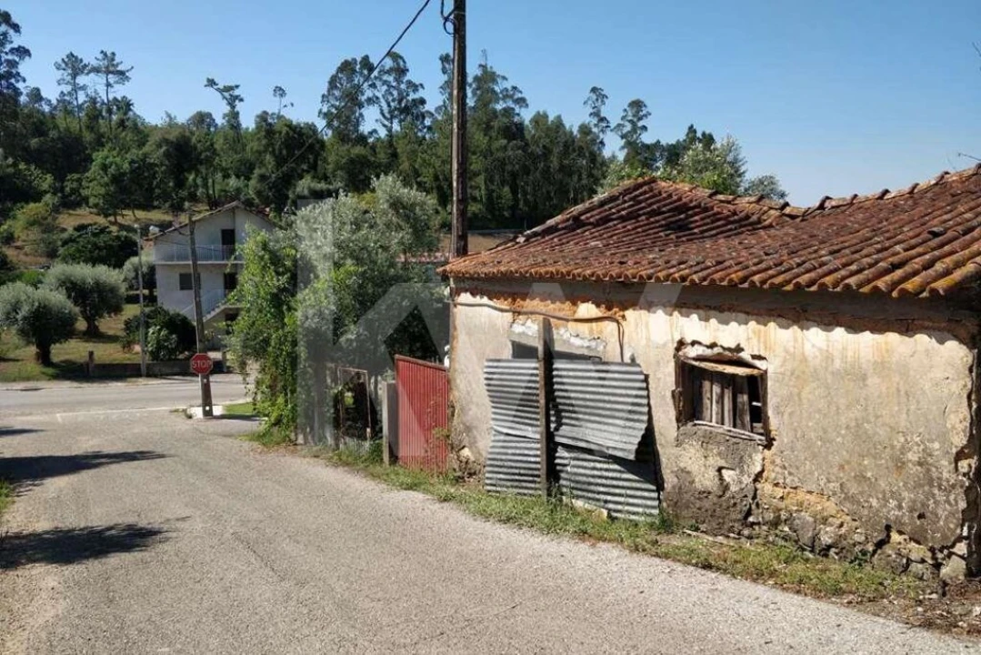 Terreno para Venda em Soure Foto 11