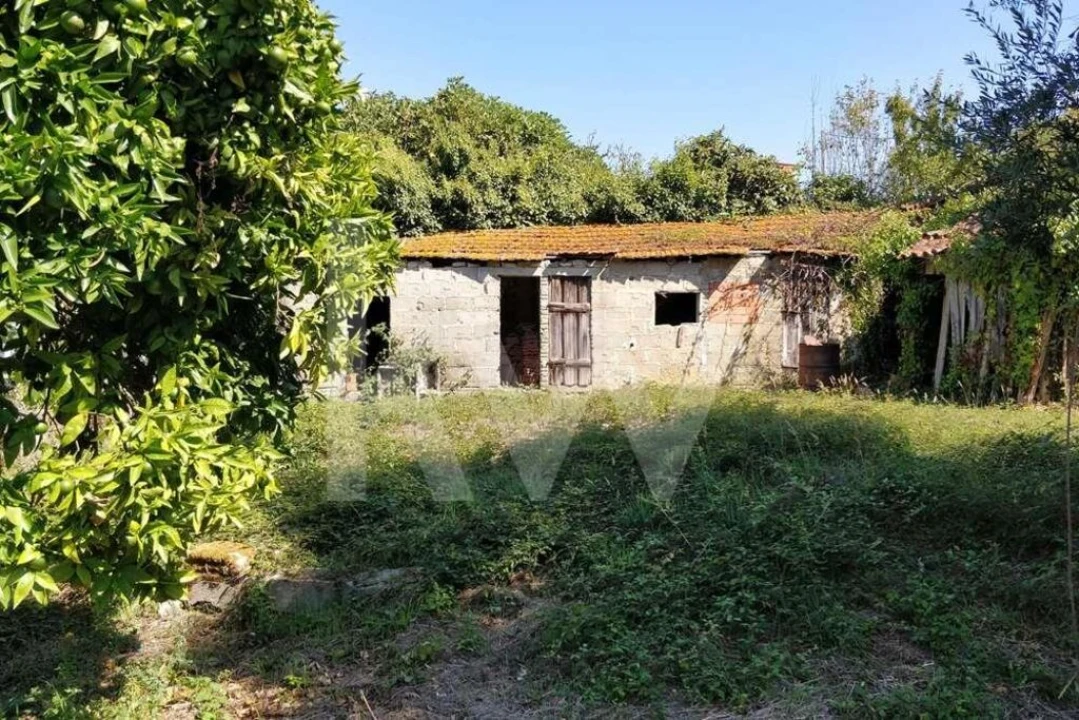 Terreno para Venda em Soure Foto 2