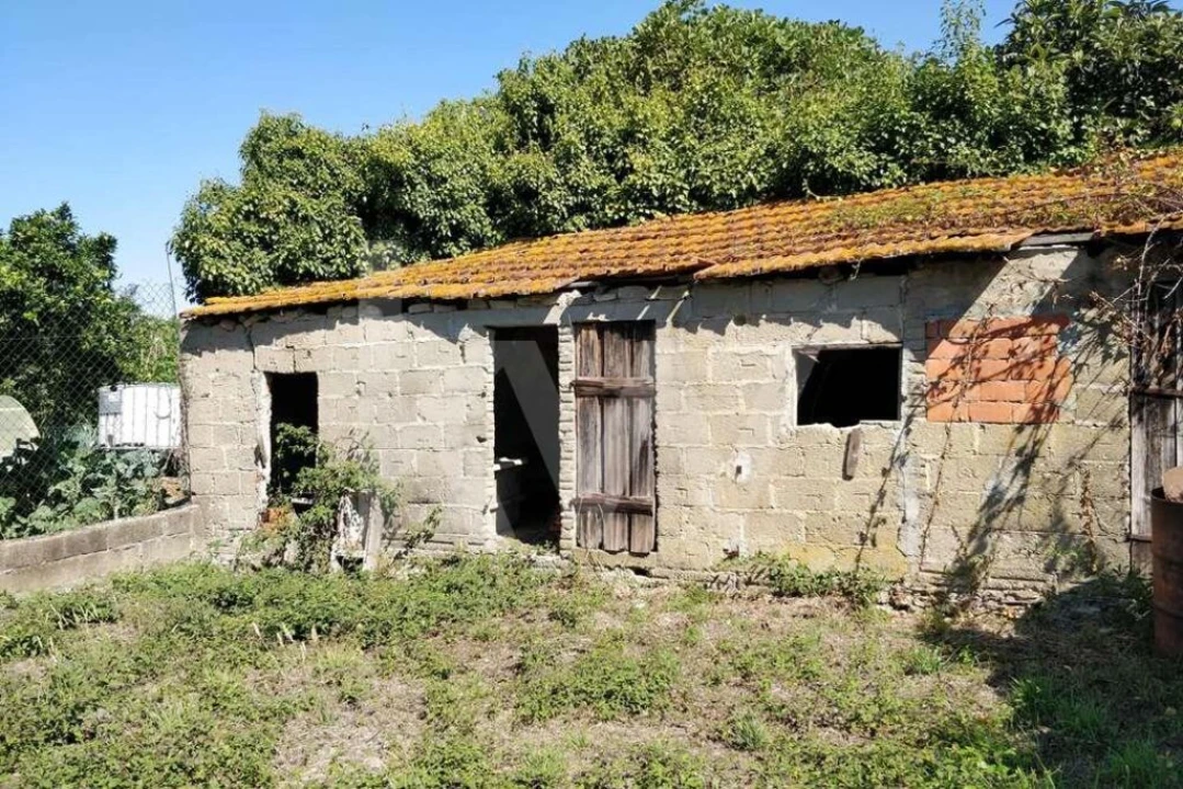 Terreno para Venda em Soure Foto 14
