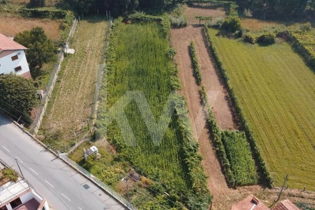 Terreno para Venda em Ossela Foto 3